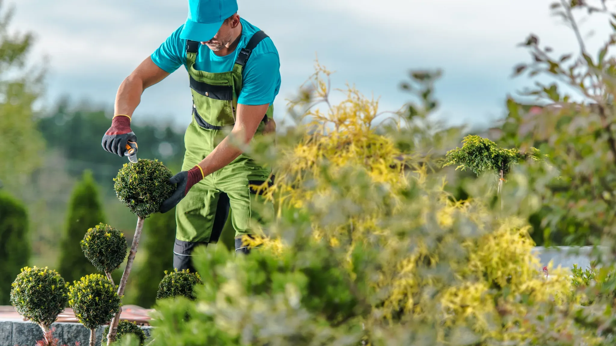 A man wearing a teal cap and shirt, olive-green bib overalls, and a red and gray work glove uses small hand pruning shears to